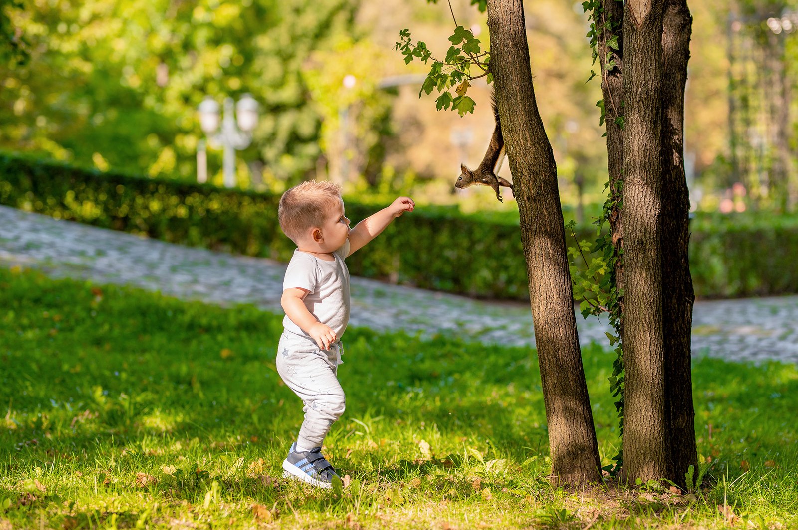 Семейна фотосесия Семейна фотосесия